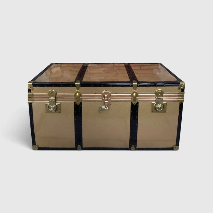 fisam - Travel trunk